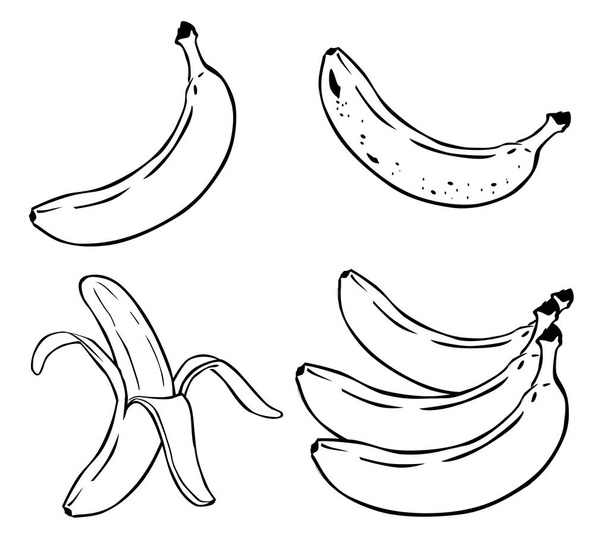 jedzenie owoce banan - Wektor, obraz