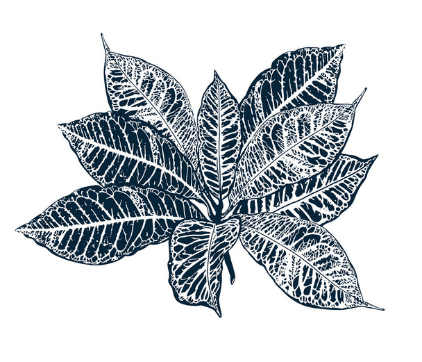 tropical leaves card - Vektor, Bild