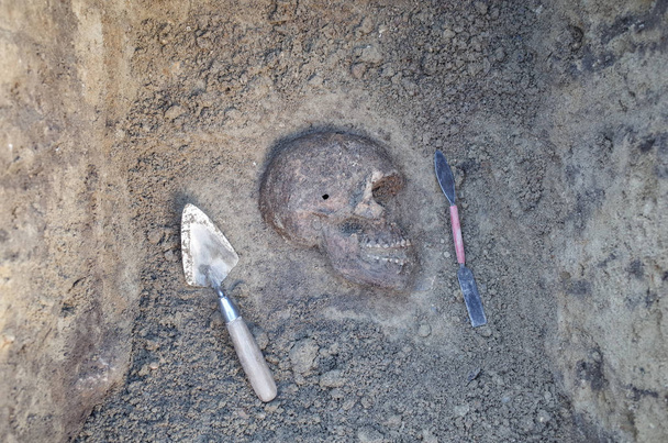 Archaeological excavation with skeletons - Photo, Image