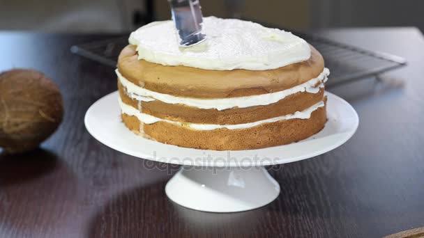 Het proces van het maken van een taart. Banketbakkers neerkomt biscuit crème gebak spatel gebruiken. - Video