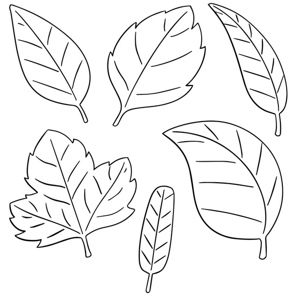 vector set of leaves - Vector, Imagen