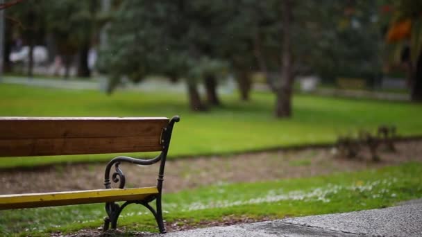 公園のベンチ。木製 ceilin と金属の錬鉄製のベンチ - 映像、動画