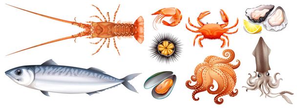 verschiedene Arten von Meeresfrüchten - Vektor, Bild