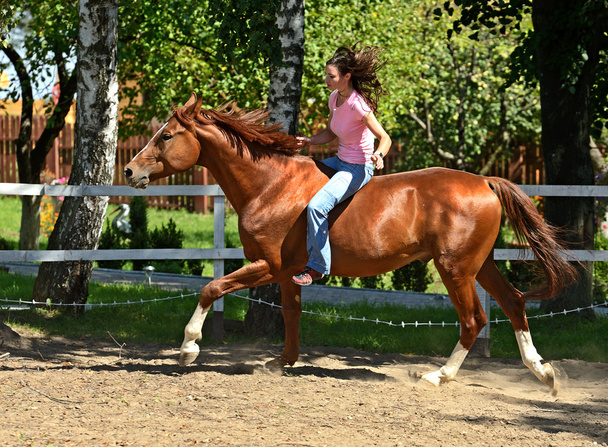 meisje met paard - Foto, afbeelding