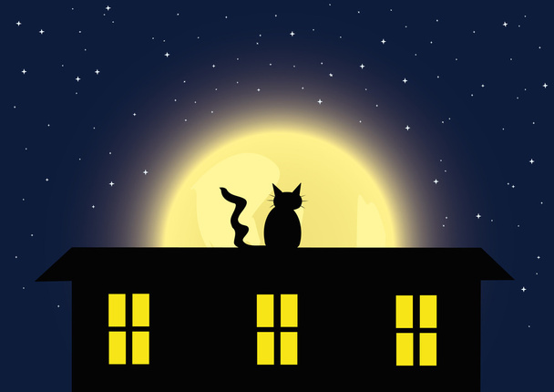 Fondo nocturno con el gato
 - Vector, Imagen