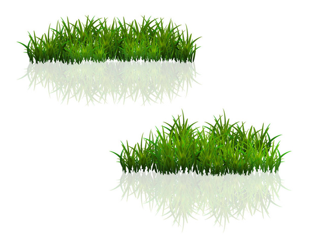 白い背景に隔離された緑の草 - ベクター画像