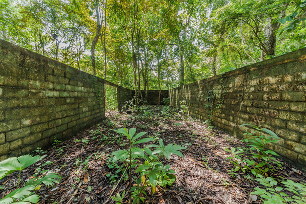 Ruina en Parque Nacional Metropolitano en Ciudad de Panamá. Lugares perdidos
. - Foto, imagen