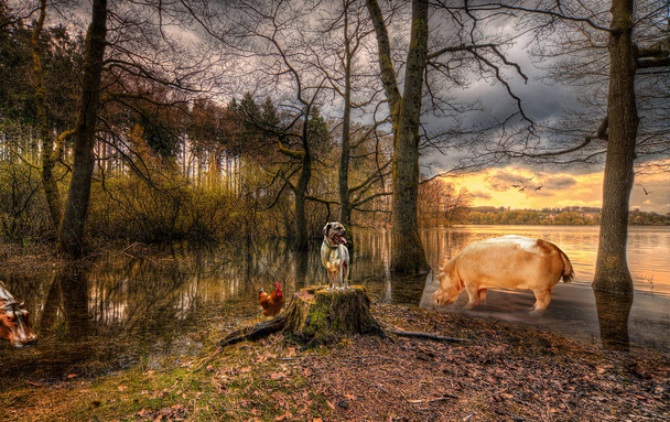 Il lago animale - composizione fantasy
 - Foto, immagini