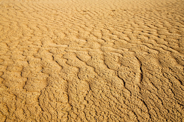 ο καφέ αμμόλοφος στην έρημο Σαχάρα Μορόκο.  - Φωτογραφία, εικόνα