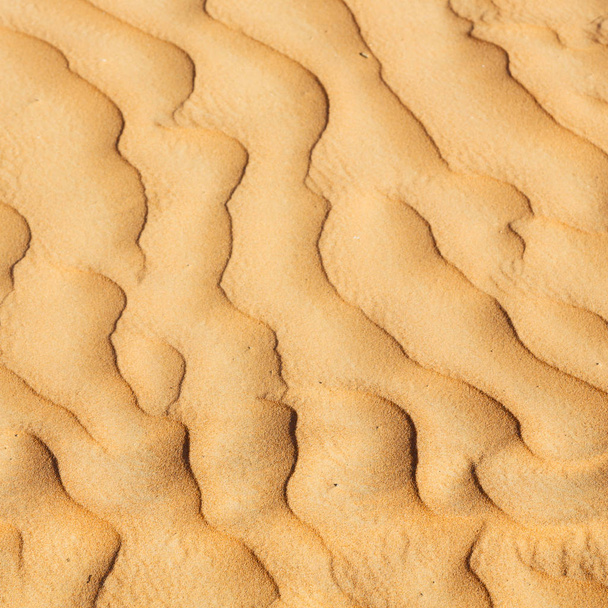 en oman el desierto viejo y el cuarto vacío textura abstracta li
 - Foto, imagen