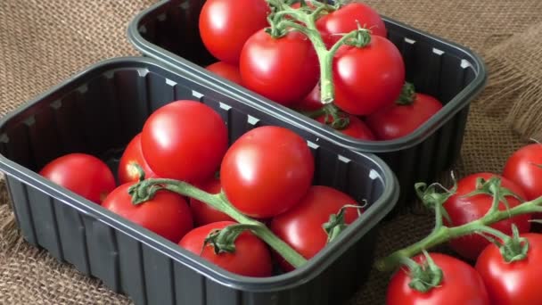 Cherry tomaten in een plastic container op bruine achtergrond - Video