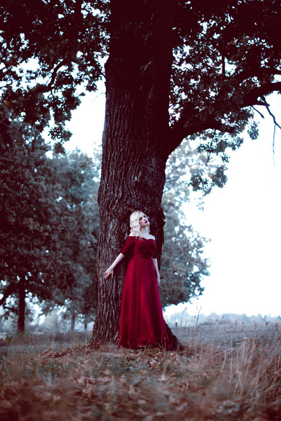 Mode prachtige jonge blonde vrouw in mooie rode jurk in een sprookjesachtige forest. magische sfeer. toning schot - Foto, afbeelding