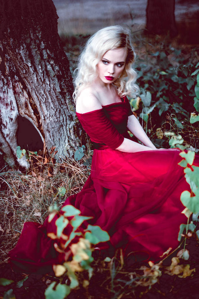 Moda linda jovem loira em belo vestido vermelho em uma floresta de conto de fadas. atmosfera mágica. tonificação tiro
 - Foto, Imagem