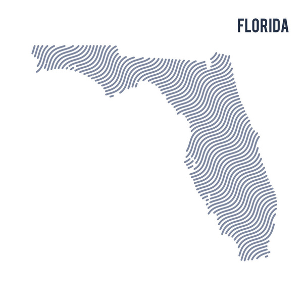 Mapa de onda abstracta vectorial del estado de Florida aislado sobre un fondo blanco
. - Vector, imagen