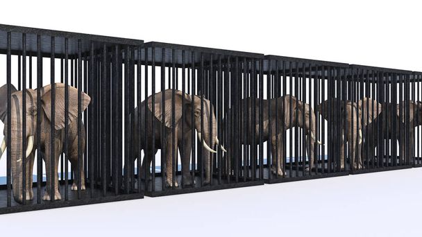 elephant in cage. 3d rendering - Photo, Image