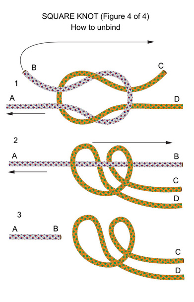 quadratischer Knoten (Abbildung 4 von 4) - Vektor, Bild
