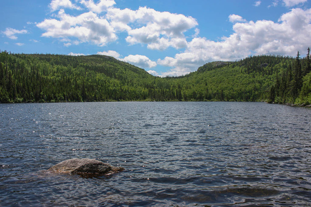 lac des cygnes, Grand-Jardins National Park in Quebec Canada
 - Фото, изображение