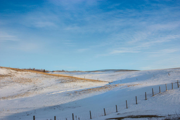 sárga mezőben, a hó rajta - Fotó, kép
