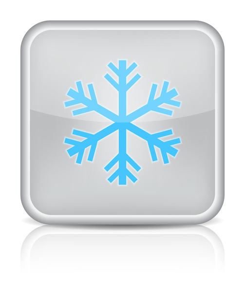Gray glossy web button with sign snowflake symbol. - Διάνυσμα, εικόνα