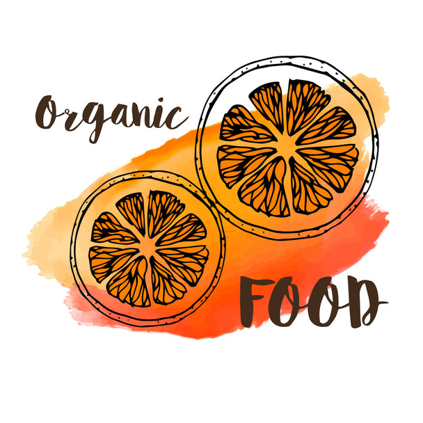 Laranja sobre fundo aquarela "Alimentos orgânicos
" - Vetor, Imagem