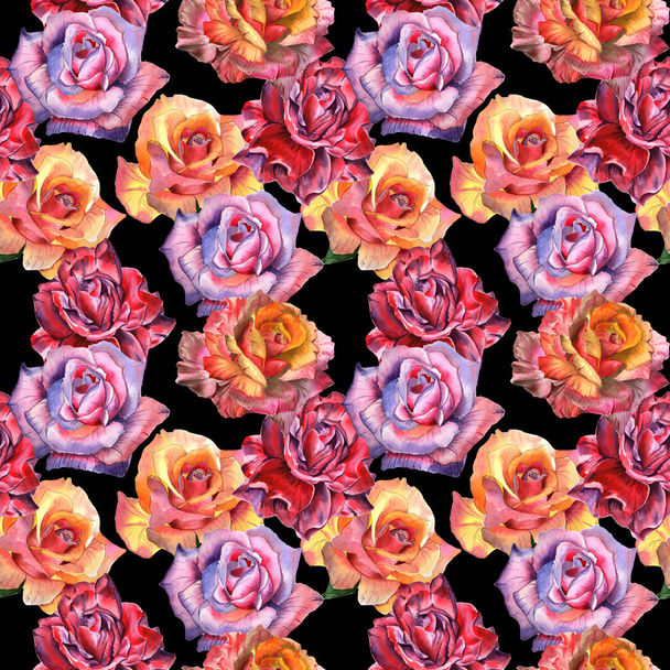 Wildflower rose flower pattern in a watercolor style isolated. - Foto, Imagen