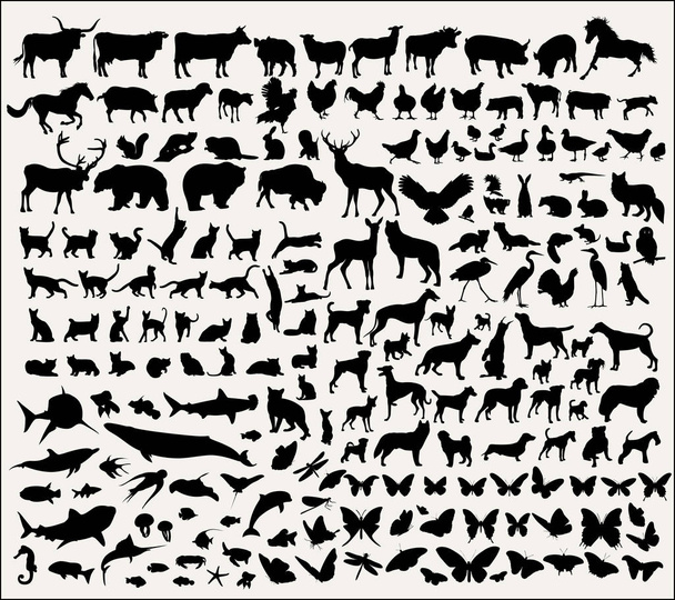      Коллекция векторных силуэтов животных
  - Вектор,изображение