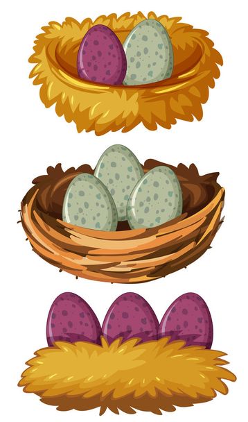 Different types of nests and eggs - Vector, Image