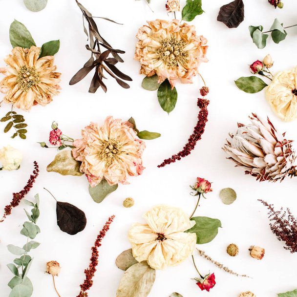 szárított virágok háttér - Fotó, kép