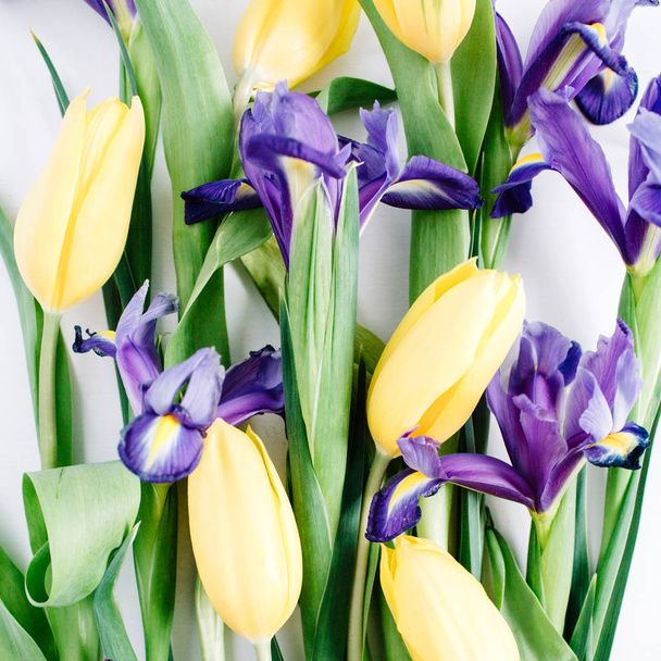 tulipas, camomilas, flores da íris
 - Foto, Imagem