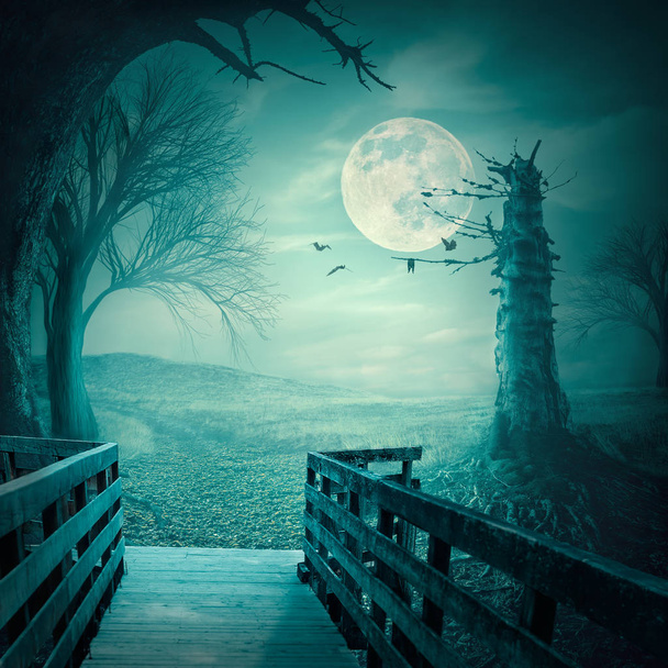 Bois effrayants au clair de lune comme toile de fond d'Halloween
 - Photo, image