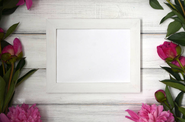 Stunning pink peonies on white rustic wooden background. Copy space. White frame for picture or photo - Photo, Image