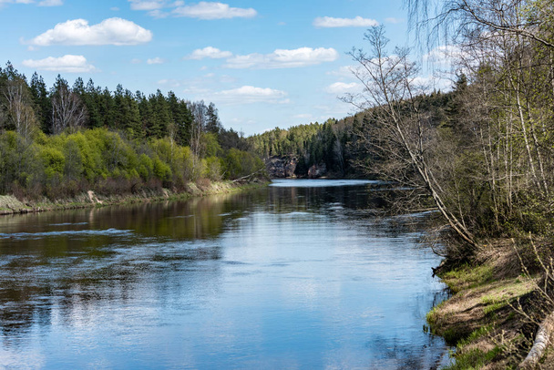 summer landscape of river - Photo, Image