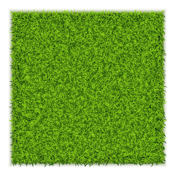 Green Grass Square Background - Vector, Imagen