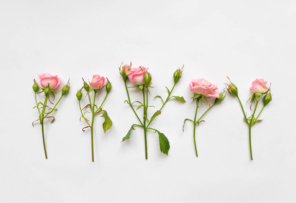 Decorative pattern with pink roses, leaves and buds on white background. Flat lay, top view - Photo, image