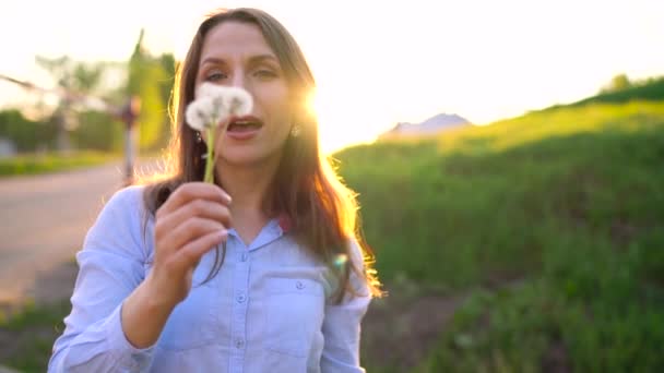 Güzellik kadın karahindiba günbatımı, yavaş hareket karşı esen - Video, Çekim