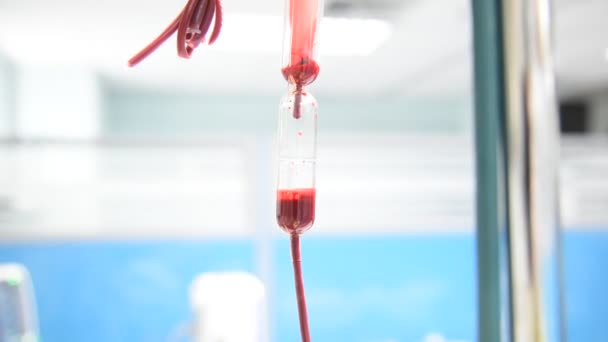Gota de sangue do saco de sangue para o paciente no hospital
 - Filmagem, Vídeo