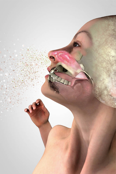 Symptoms of a cold, human anatomy, 3d section of a face, girl with cold. Allergy pollen. 3d rendering - Photo, Image
