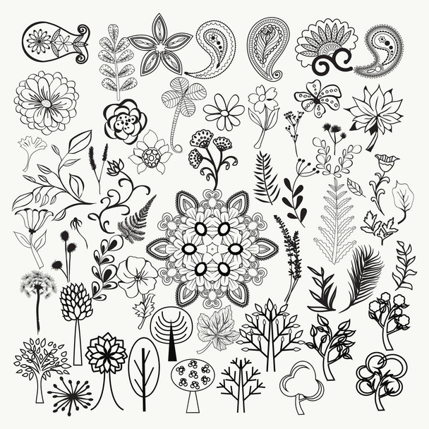 big collection of hand-drawn black and white ornate flowers, - Vektor, Bild