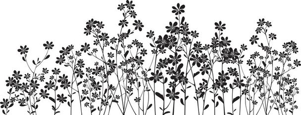 白いシルエットの野の花 - ベクター画像
