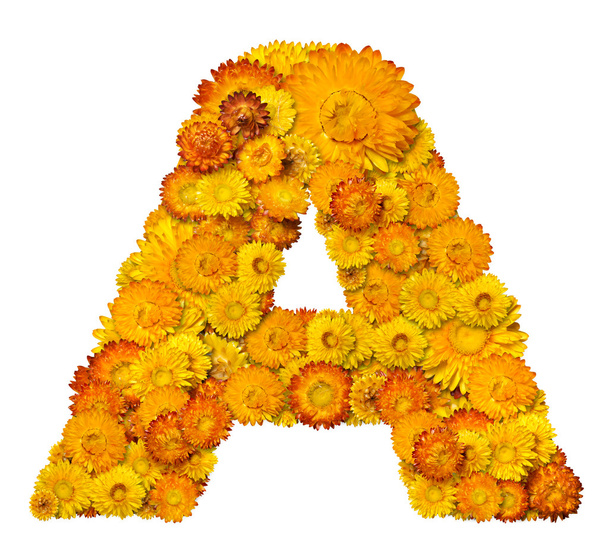Letters from alphabet from flowers - Fotografie, Obrázek