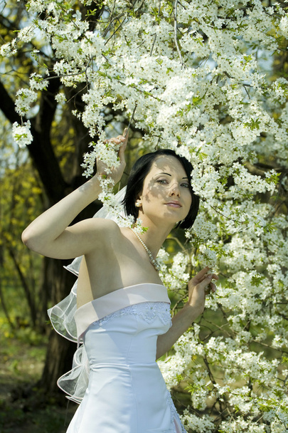 Bride in the spring garden - Foto, Imagen