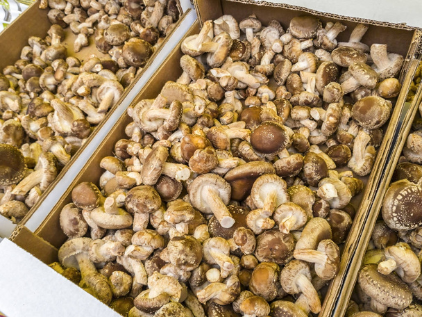 Heaps of mushrooms for sale at farmers market. Shallow depth of field. - Photo, Image