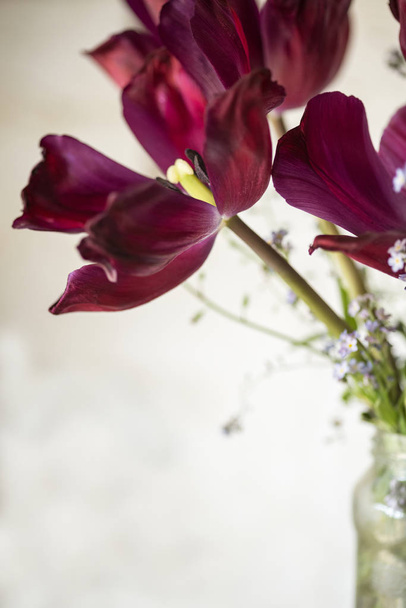Hermosa imagen antigua jardín inglés vintage de tulipanes en vidrio ma
 - Foto, Imagen