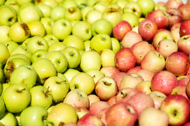 v tržním červené a žluté jablka přirozené světlo - Fotografie, Obrázek
