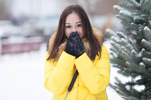 Ritratto di giovane donna vicino all'abete in inverno. Ritratto femminile. Donna in cappotto invernale giallo
. - Foto, immagini