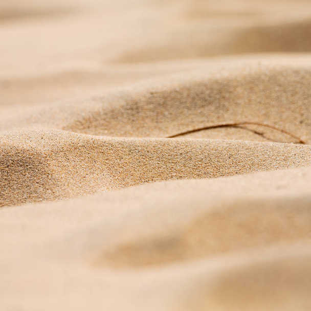 a partvidék beach absztrakt homok   - Fotó, kép