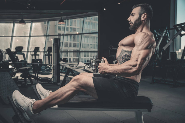 背中の筋肉をポンプのトレーニング運動男ダイエットのハンサムなパワー - 写真・画像