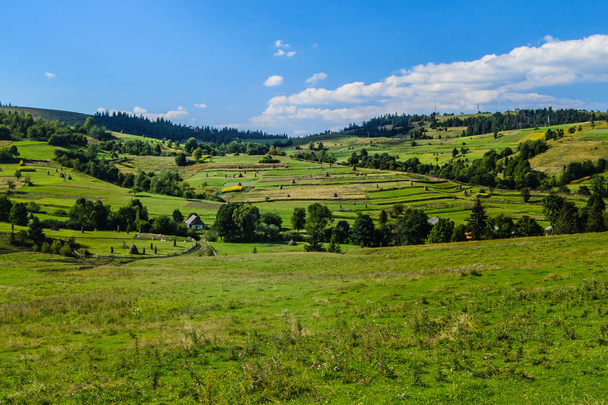 Landelijk gebied in de Karpaten - Foto, afbeelding