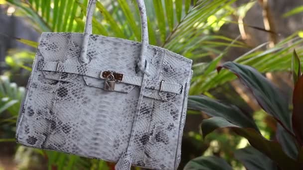Fashion luxe slangenhuid python handtas in beweging op een tropische tuin achtergrond. Bali eiland. Grote witte zak. - Video