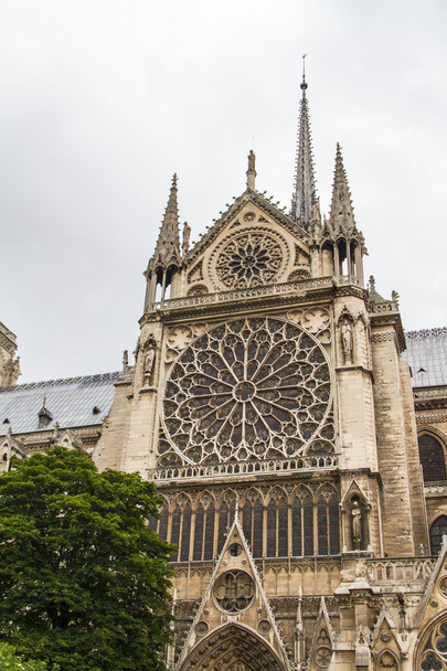 Notre Dame (Paris) - Photo, image